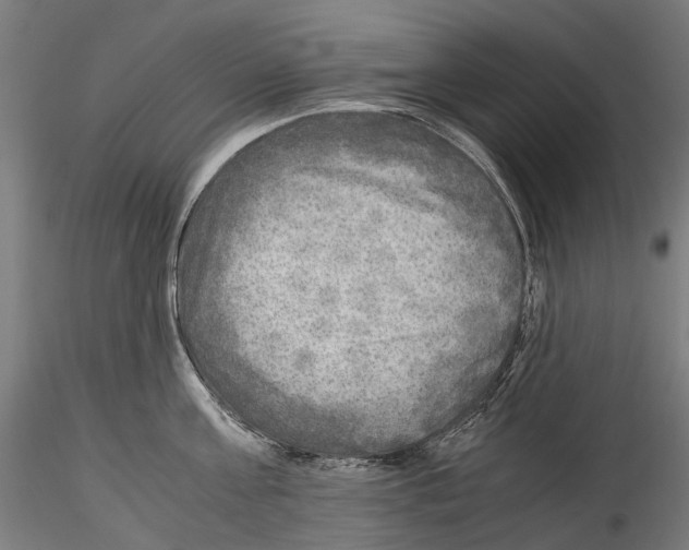 X0000114560811200911301247