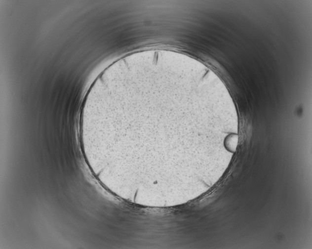 X0000114560812200911301247
