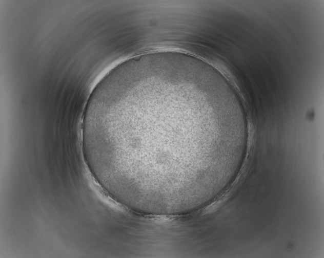 X0000114560814200911301247