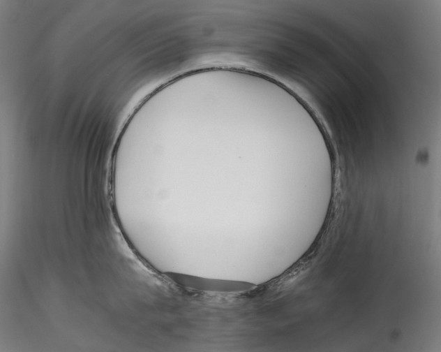 X0000114560815200911301247