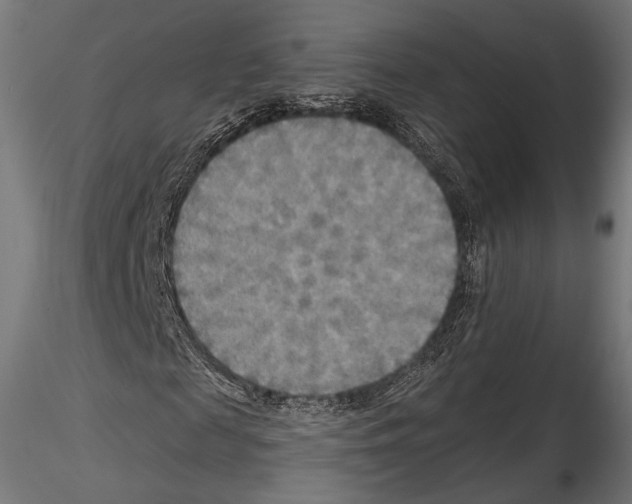 X0000114560817200911301246