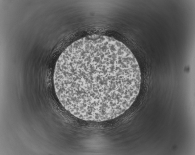 X0000114560818200911301246
