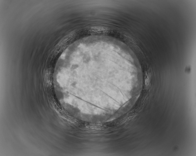 X0000114560819200911301246