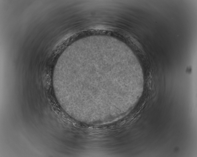 X0000114560821200911301246