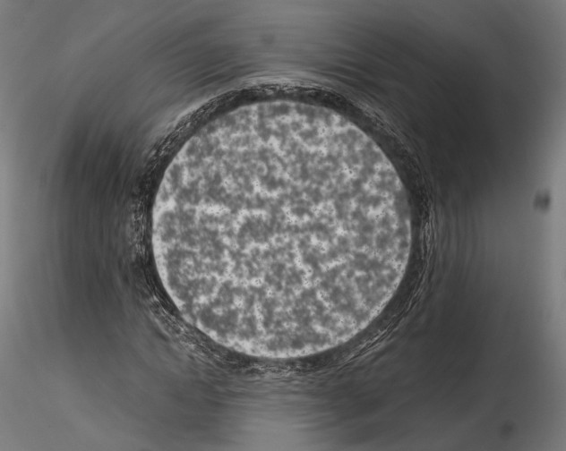 X0000114560822200911301246