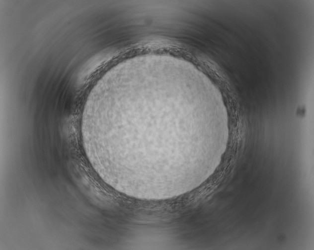 X0000114560824200911301246