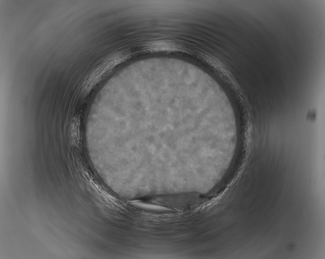 X0000114560825200911301246