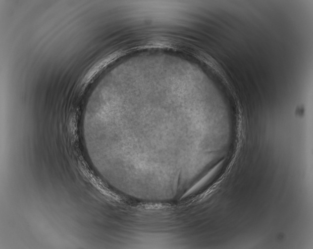 X0000114560826200911301246