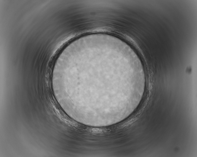 X0000114560827200911301246