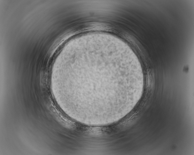 X0000114560828200911301246