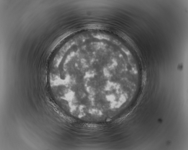 X0000114560829200911301246