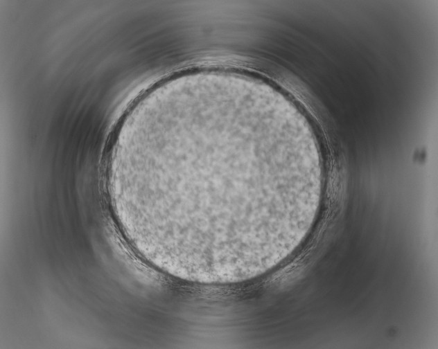 X0000114560832200911301246