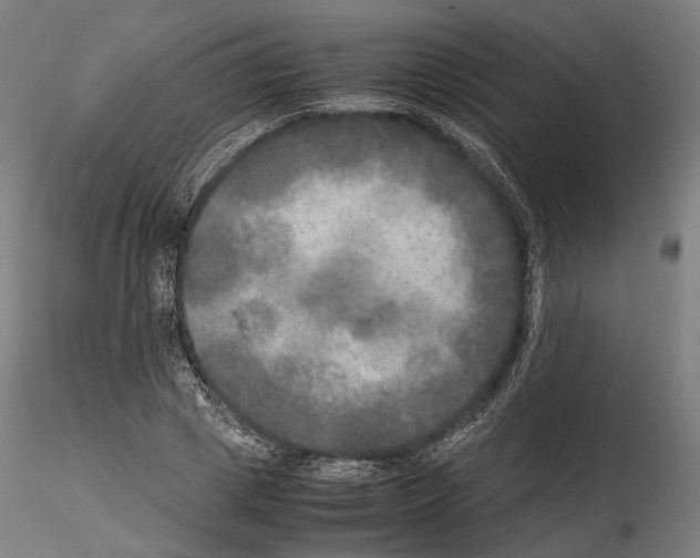 X0000114560833200911301246