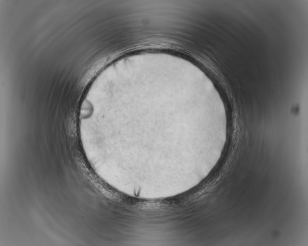 X0000114560834200911301246