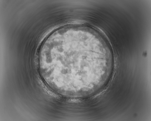 X0000114560835200911301246