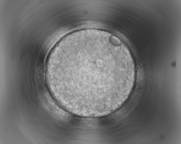 X0000114560836200911301246