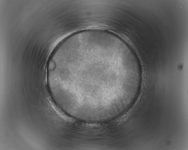 X0000114560838200911301246