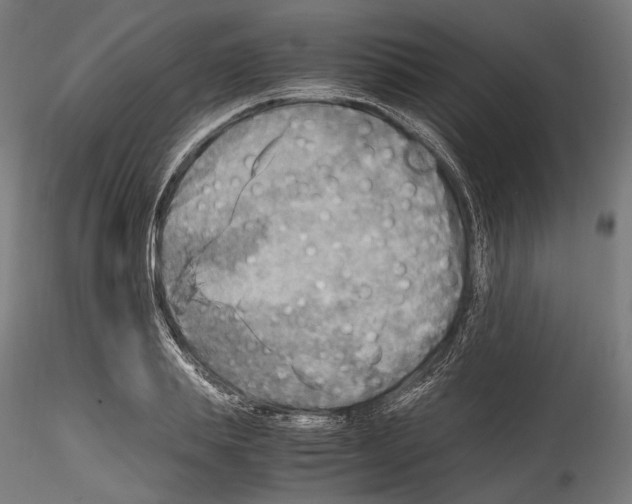 X0000114560839200911301246