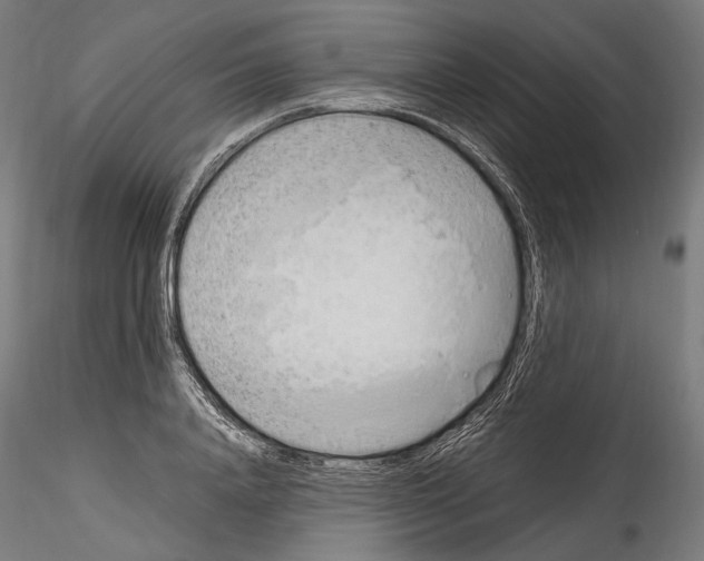 X0000114560840200911301246