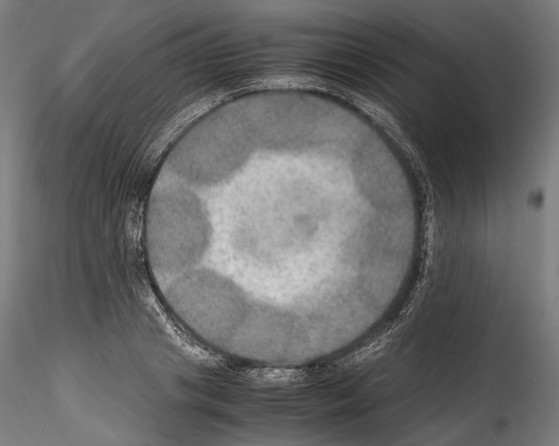 X0000114560841200911301246