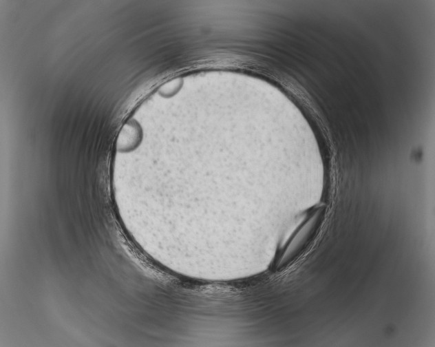 X0000114560842200911301246