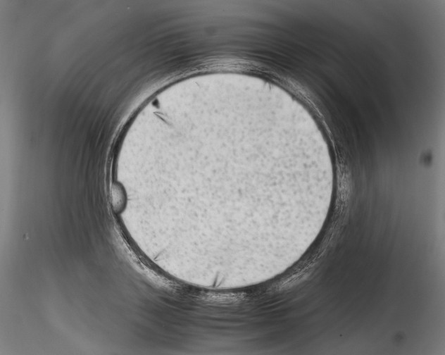 X0000114560843200911301246