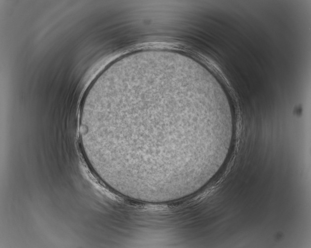 X0000114560844200911301247