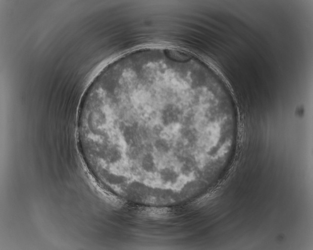 X0000114560845200911301247