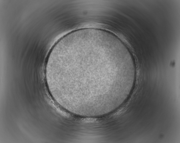 X0000114560846200911301247