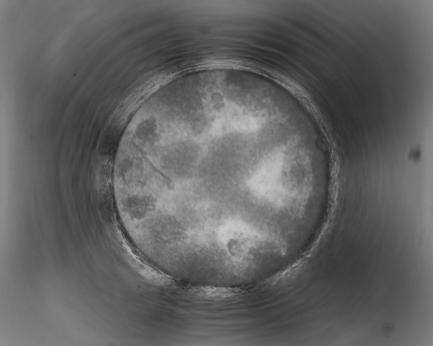 X0000114560849200911301247