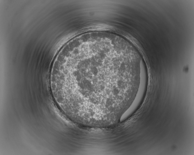 X0000114560850200911301247