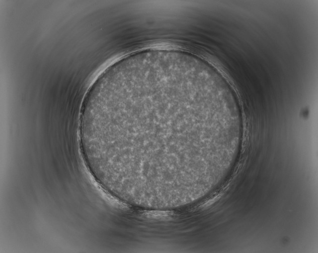 X0000114560853200911301247