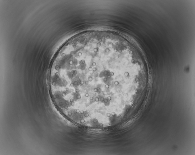 X0000114560855200911301247