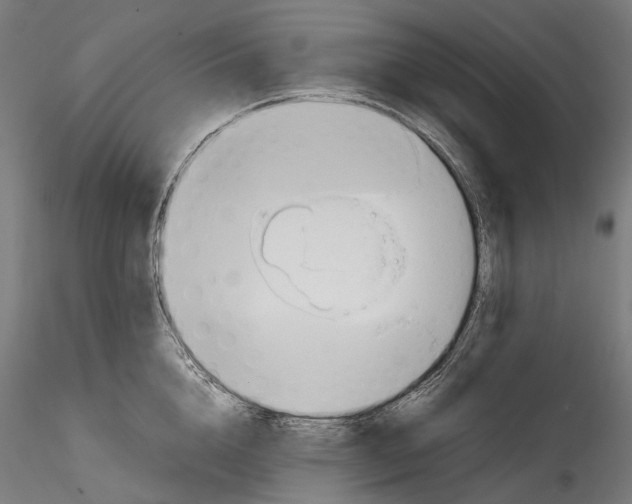 X0000114560856200911301247