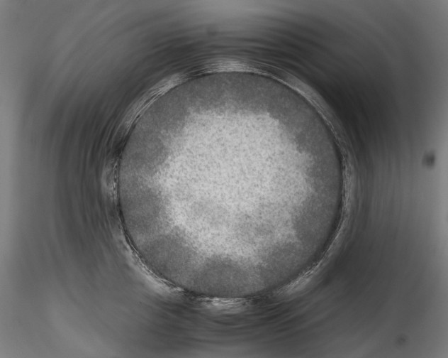 X0000114560857200911301247