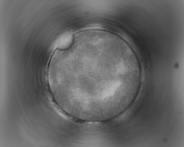 X0000114560858200911301247