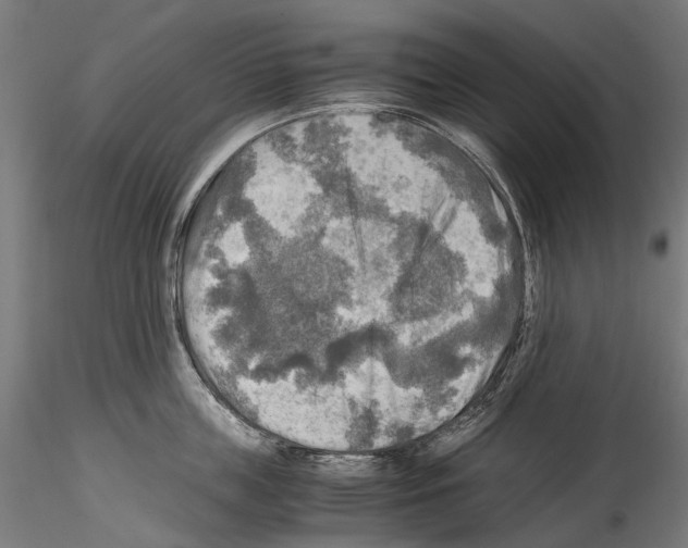 X0000114560859200911301247