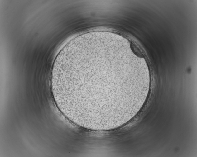 X0000114560860200911301247