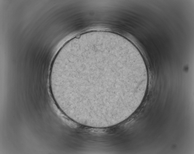X0000114560861200911301247