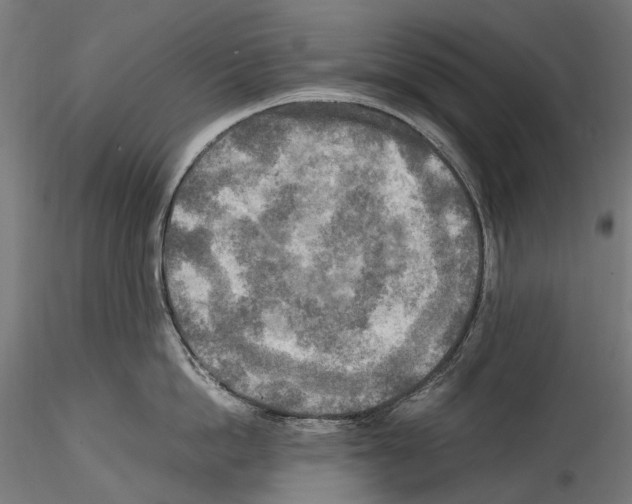 X0000114560862200911301247