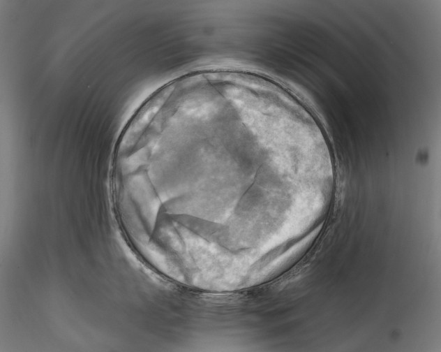 X0000114560863200911301247