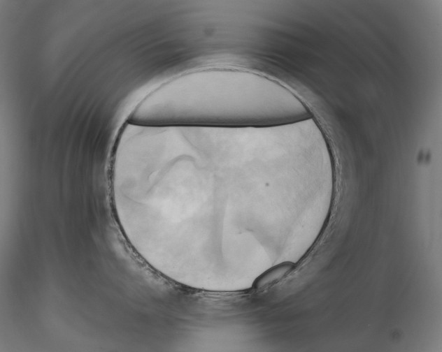 X0000114560864200911301247