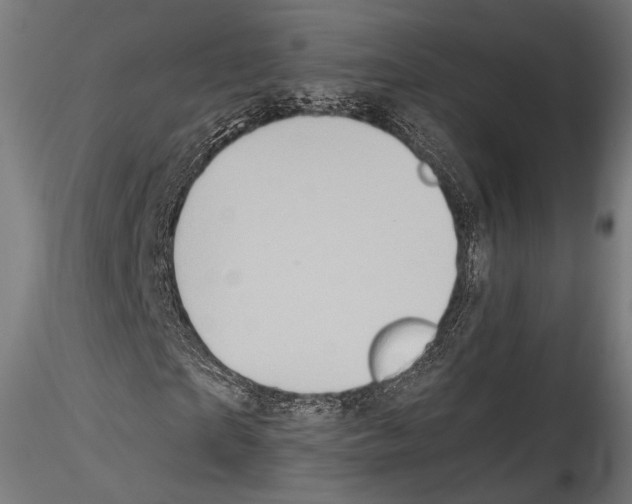 X0000114560865200911301246
