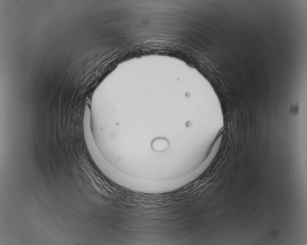 X0000114560868200911301246