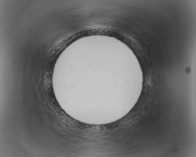 X0000114560869200911301246