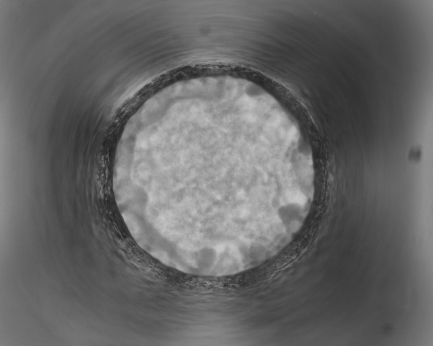 X0000114560871200911301246