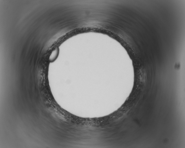 X0000114560872200911301246