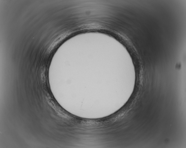 X0000114560873200911301246