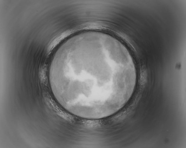 X0000114560874200911301246