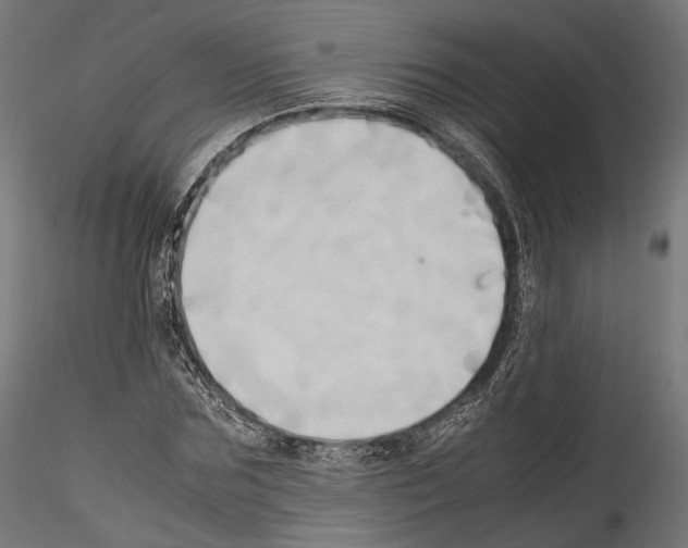 X0000114560875200911301246